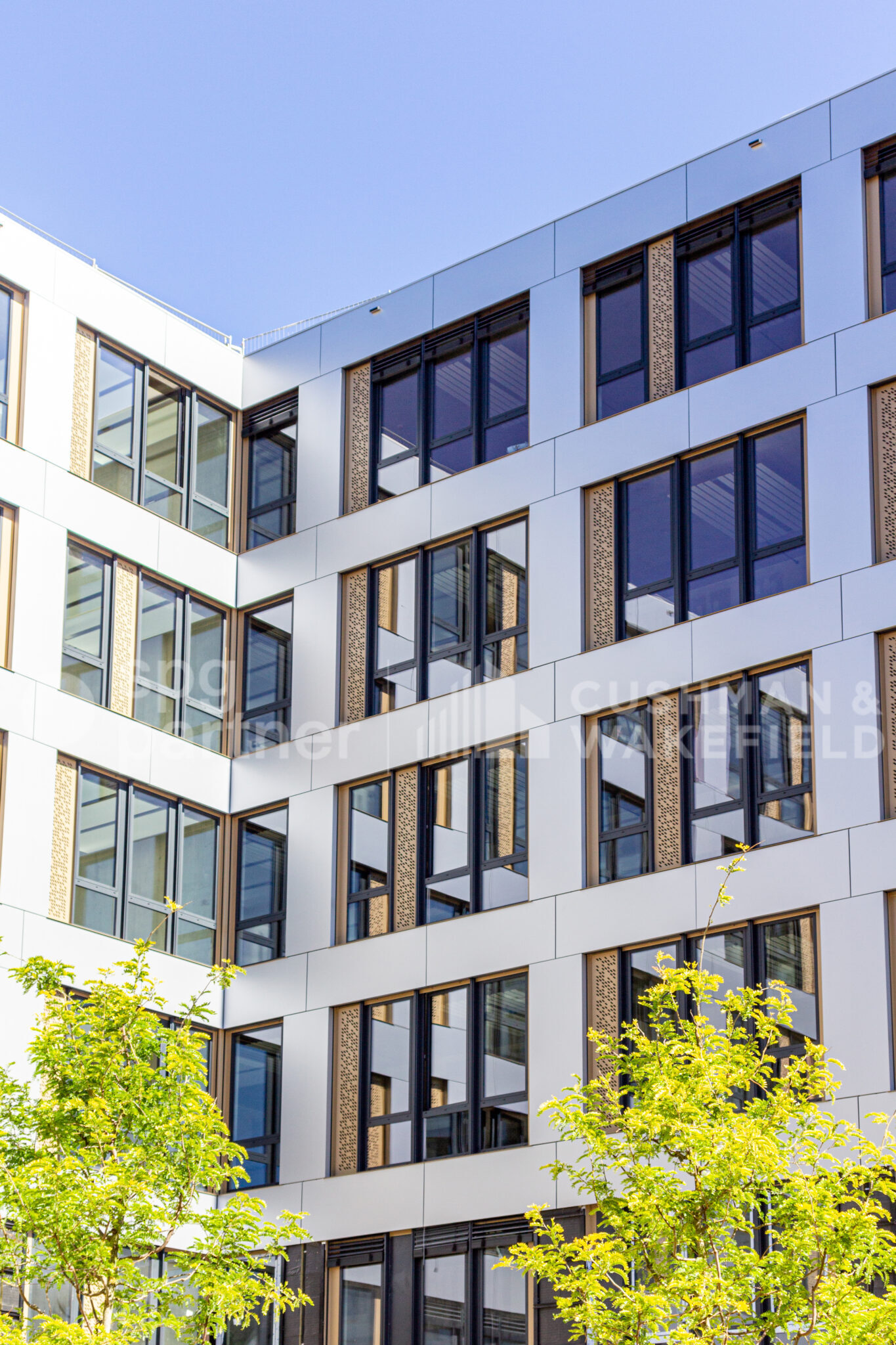 Atelier à louer – 3000 m² – LES CHARMILLES – Lyon 114 – Genève-Petit-Saconnex